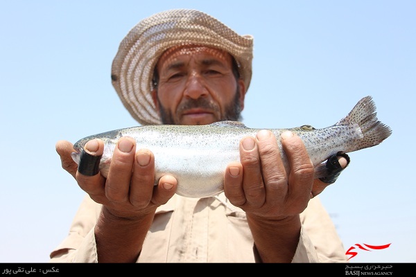 آزموده را آزمودن خطاست/تولید تیلاپیای داخلی و خطرات دوباره زیست محیطی آزموده را آزمودن خطاست/تولید تیلاپیای داخلی و خطرات دوباره زیست محیطی