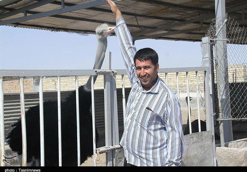 مسئولان چوب لای چرخ تولید نگذارند/ مسئولان چوب لای چرخ تولید نگذارند/