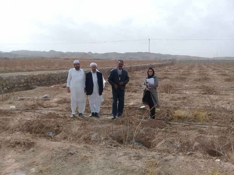 برگزاری طرح همگام با کشاورز در روستاهای نصرالدین، آواز و شهر گزیک