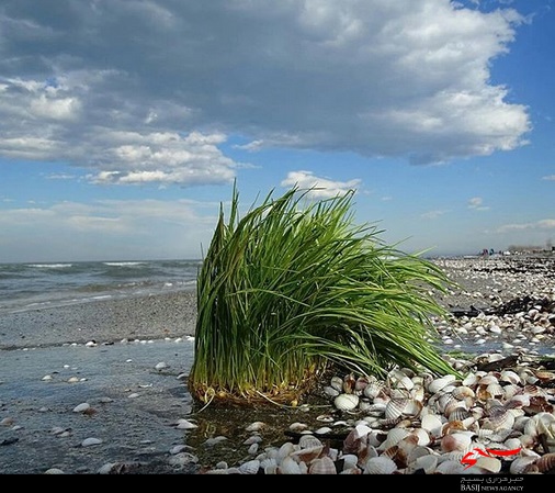 گزارش تصویری روز طبیعت بهاری در گیلان