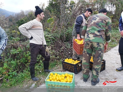 وقتی بسیج جور رانش زمین را هم می&zwnj;کشد+ تصاویر