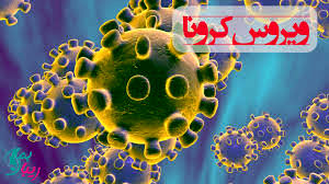 مورد مثبتی از کرونا ویروس در ملایر مشاهده نشده است