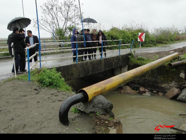 شالیزار&zwnj;های غرب بندرانزلی دچار آبگرفتگی شد+ تصاویر