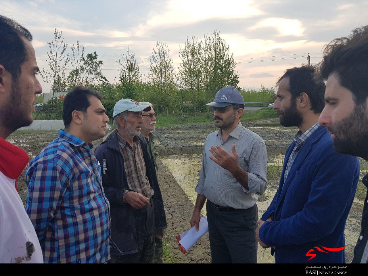 بازدید اساتید بسیج مهندسین کشاورزی و منابع طبیعی استان از خزانه های شهرستان صومعه&zwnj;سرا + تصاویر