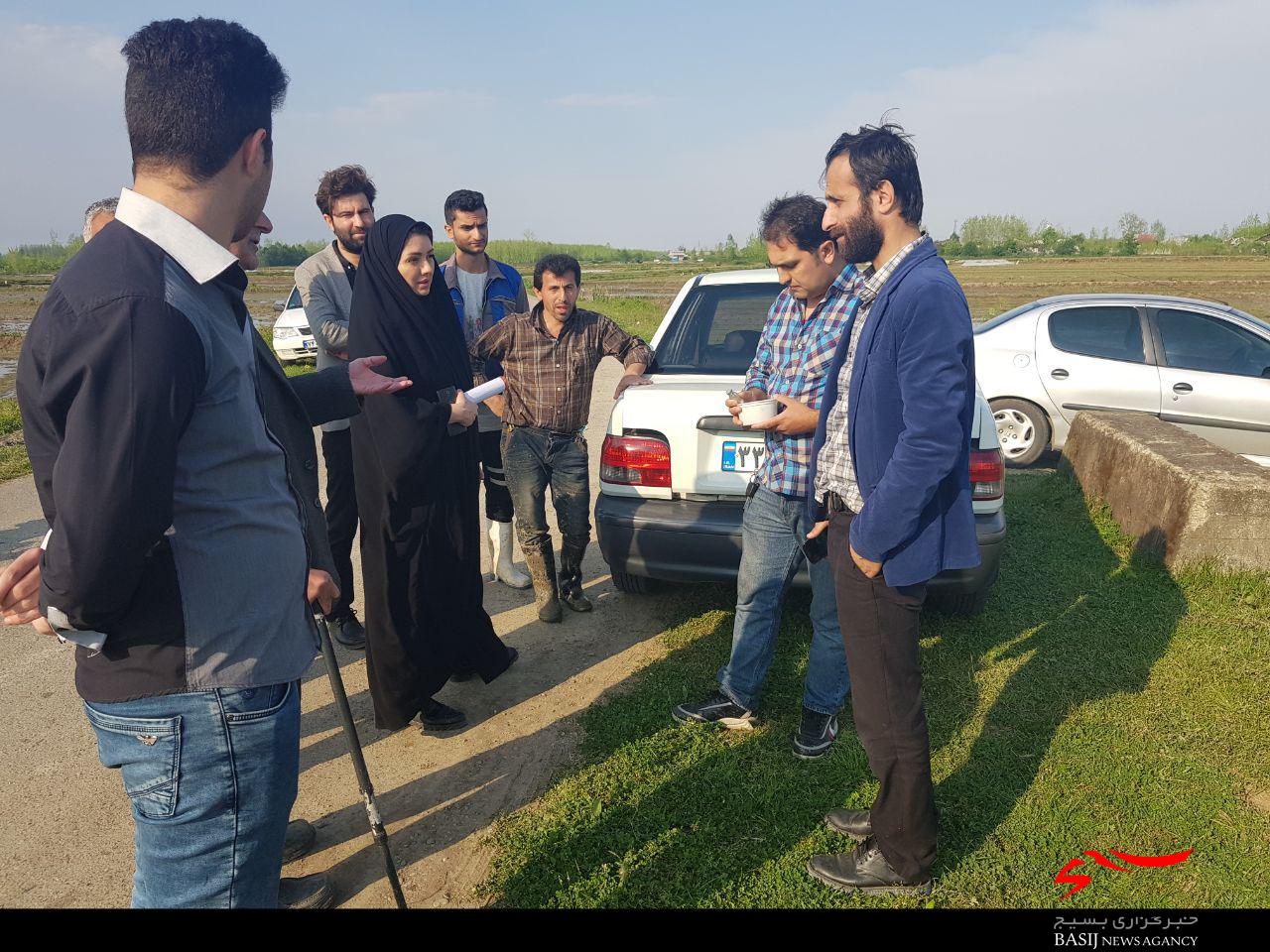 بازدید اساتید بسیج مهندسین کشاورزی و منابع طبیعی استان از خزانه های شهرستان صومعه&zwnj;سرا + تصاویر