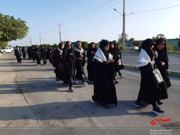 پیاده روی رهروان شهید فهمیده در بوشهر برگزار شد