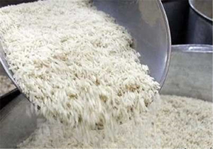 کشف بیش از 4.5 تن برنج تقلبی از یک فروشگاه در همدان