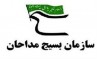 سهم بسیج مداحان در رزمایش مواسات