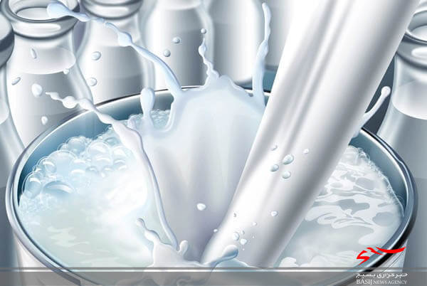 تولید سالانه ۲۴ هزار تن شیر در شهرستان نیر