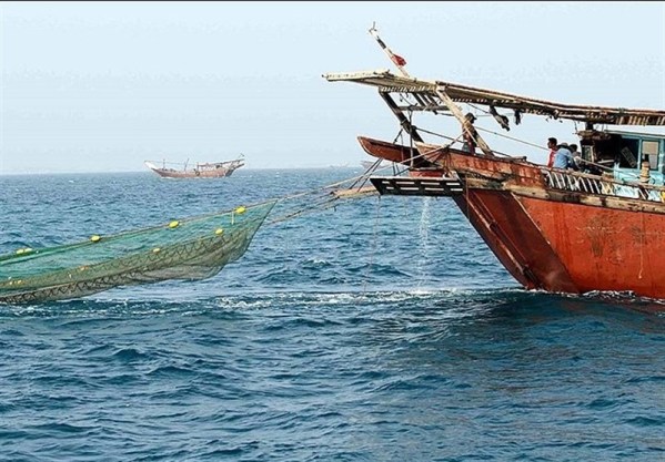 صید میگو از ۲۸ شهریورماه در آبهای استان بوشهر ممنوع می&zwnj;شود