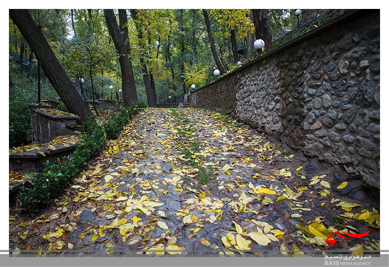 خودنمایی پاییز استان زیبای اردبیل از آذر ماه