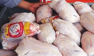 توزیع ۲۰ کیلو گوشت مرغ در بین نیازمندان بخش قرقری هیرمند