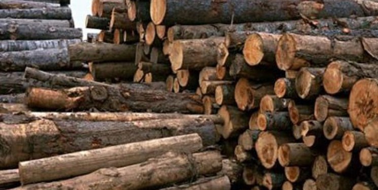 کشف ۳ تن چوب قاچاق در شهرستان بهار