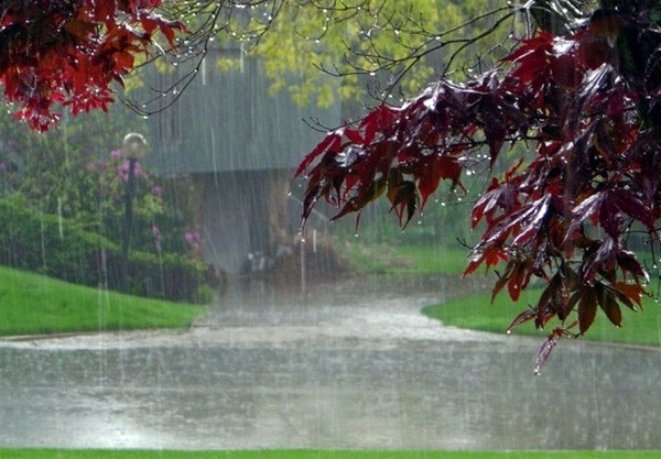 پیش بینی چهارشنبه ای سرد و بارانی در گلستان