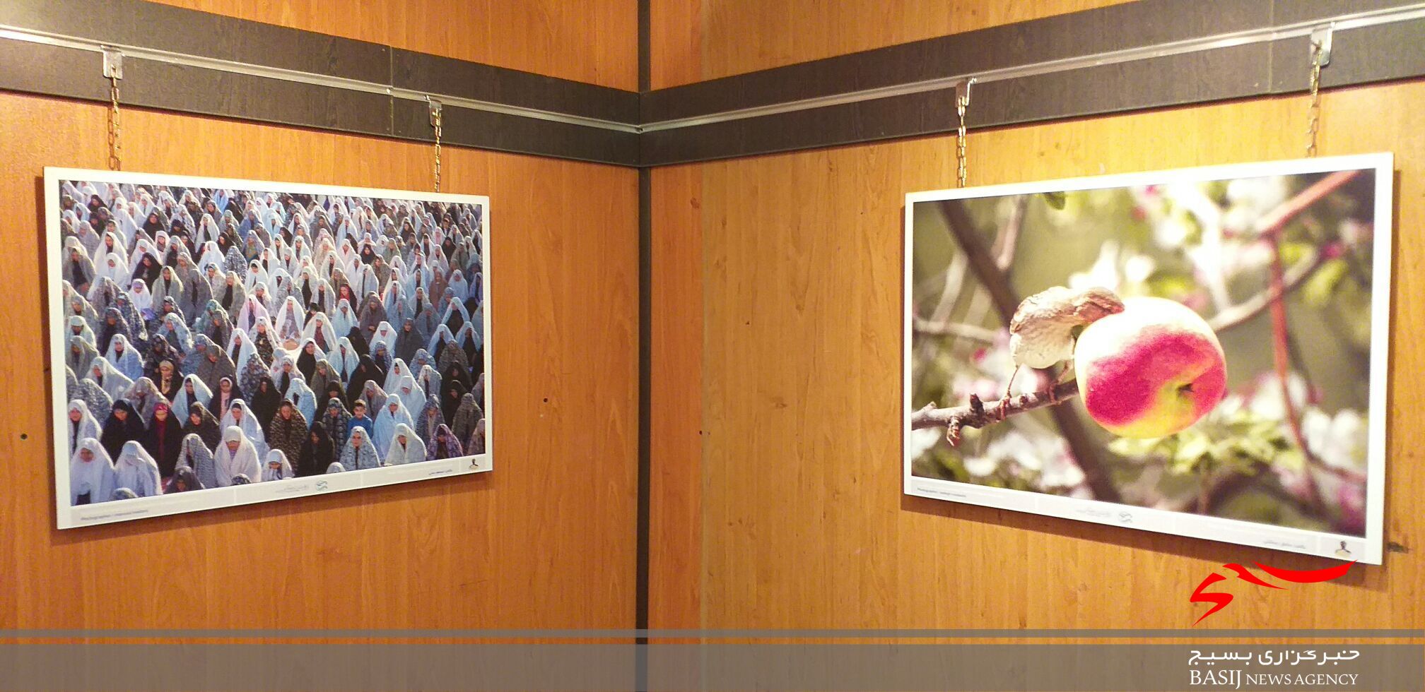 افتتاح نمایشگاه آثار برگزیده جشنواره بلوط در یاسوج