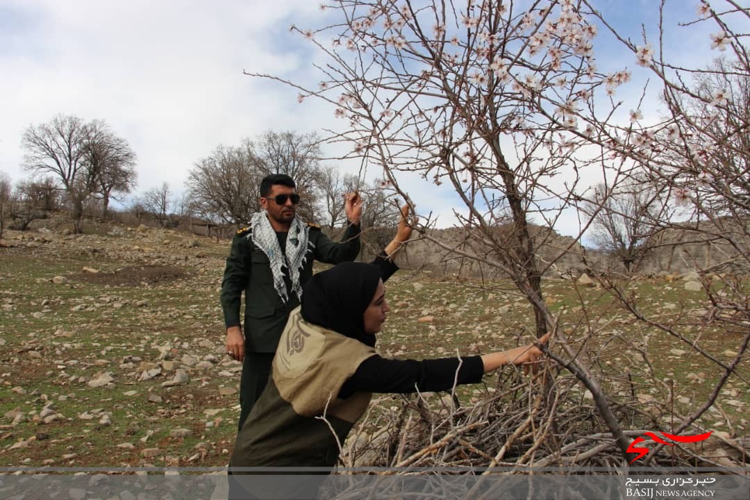 خدمات رسانی جهادی بسیج جامعه کشاورزی سپاه فتح در مناطق دور افتاده /۲۰۰۰ راَس دام در روستای نده واکسینه شدند