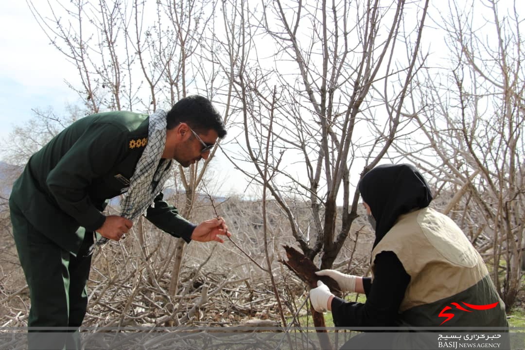 خدمات رسانی جهادی بسیج جامعه کشاورزی سپاه فتح در مناطق دور افتاده /۲۰۰۰ راَس دام در روستای نده واکسینه شدند