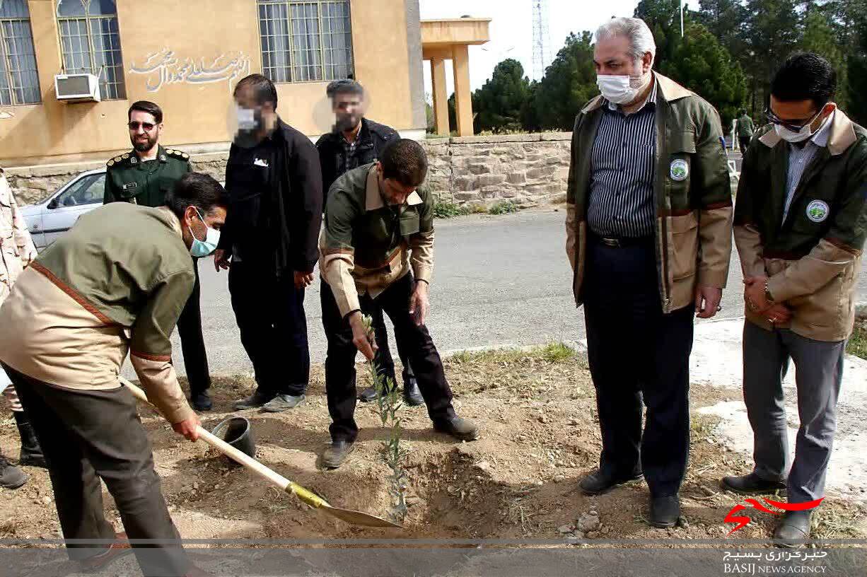 غرس تعدادی نهال مثمر در سپاه امام علی ابن ابی طالب (ع) قم+تصاویر