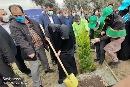 کاشت نهال در بوستان آزادگان به نام یک شهید مدافع حرم