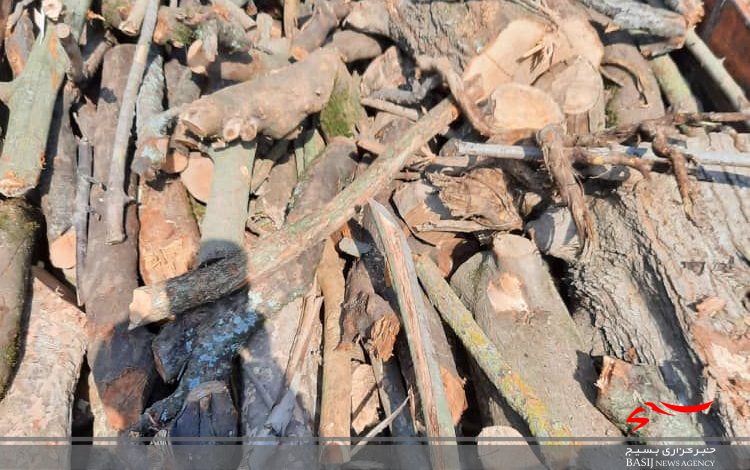 کشف و ضبط ۲۰ تن چوب قاچاق در سوادکوه شمالی