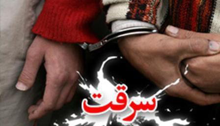 دستگیری ۵۸ نفر سارق در تویسرکان