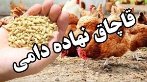 کشف بیش از ۱۵ تن نهاده دامی فاقد مجوز در بهار