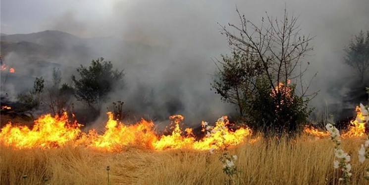 آتش‌سوزی در مراتع مجن