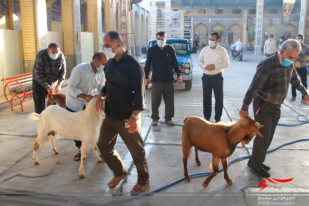 اجرای سنت قربانی در اول ماه صفر برای دفع بلای ویروس منحوس کرونا در دشتستان