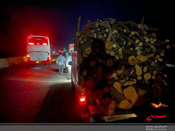 قاچاقچیان چوب در چالوس زمین‌گیر شدند+ تصاویر