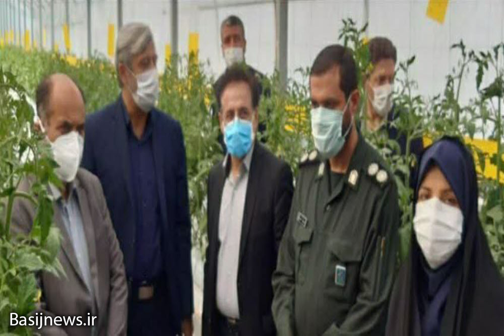 افتتاح طرح سبزی و صیفی‌جات در شهرستان فامنین