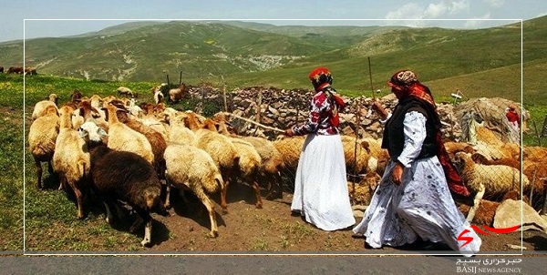 توزیع ماهانه ۴۵۰ تن آرد و ۵ تن نهاده دامی میان عشایر اردبیل