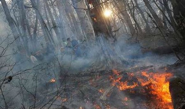 آتش سوزی در منطقه پمو چال جنگل ابر مهار شد