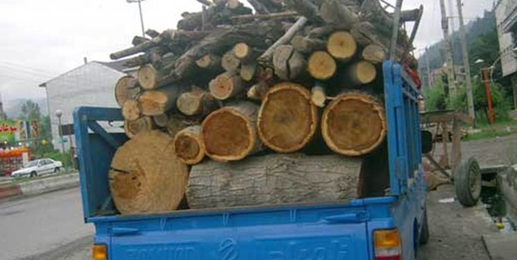 کشف محموله چوب «تاغ» قاچاق در شاهرود