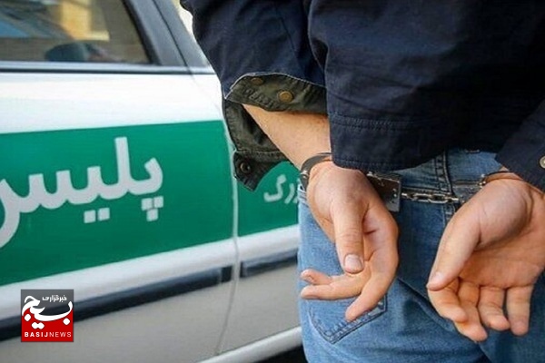 دستگیری ۱۶۹ سارق در استان بوشهر