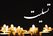 پیام تسلیت سازمان بسیج ورزشکاران در پی درگذشت ناباورانه اسماعیل احمدی