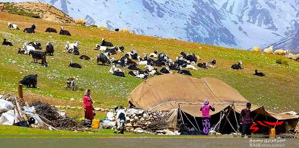 ایستگاه‌های کنترل کوچ عشایر در گلوگاه‌های ورودی‌ مشگین‌شهر ایجاد شد