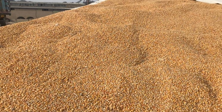 کشف 27 تن گندم و یک تن برنج قاچاق در زنجان