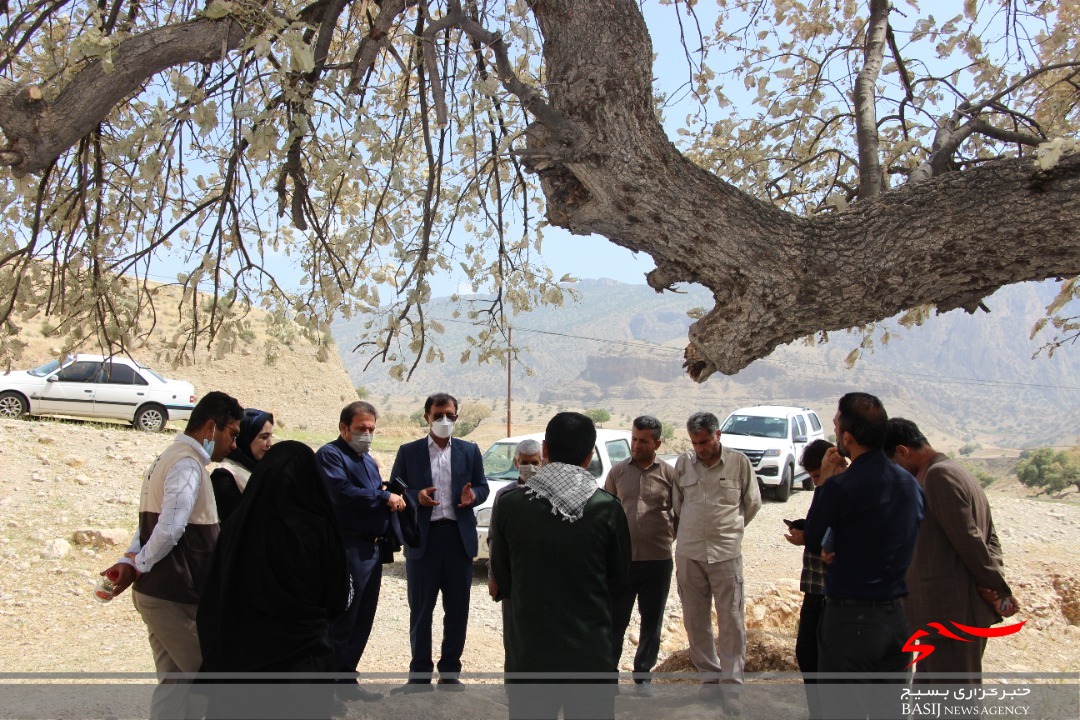 حمله آفت پروانه برگخوار به درختان بلوط شهرستان باشت/ سپاه و بسیج وارد عمل شدند