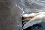 علت خروج آب از زمین در محوطه کارگاه میدان مطهری این شهر شکستگی لوله است