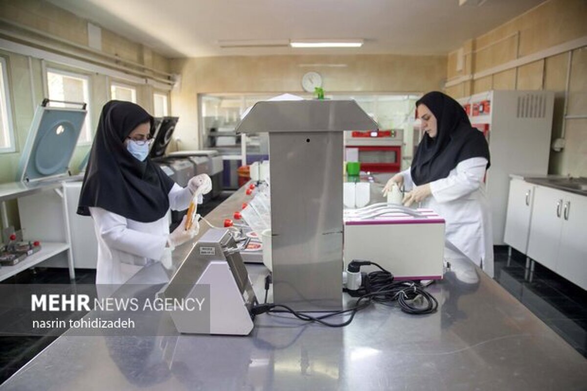 سخنگوی سازمان انتقال خون ایران مطرح کرد؛
چند درصد بانوان ایرانی خون اهدا می کنند