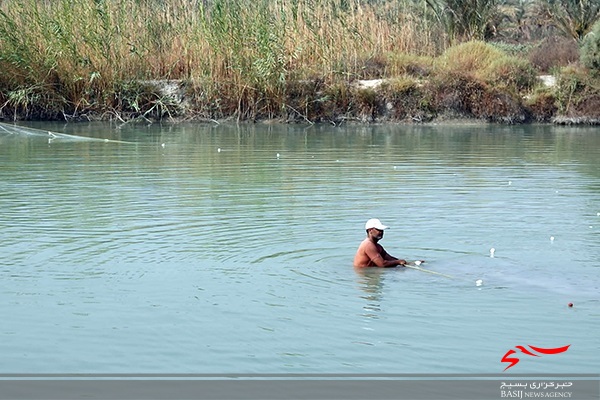 کمک به اشتغال‌آفرینی جوانان توسط بسیج سازندگی شهرستان دشتستان/ پرورش سالیانه ۵ تن ماهی گرم آبی توسط کارآفرین دشتستانی