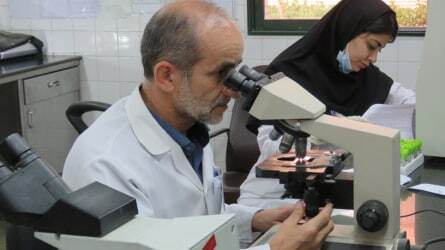 ماهانه بیش از ۷۲ هزار تست در آزمایشگاه بیمارستان امام حسین (ع) شاهرود انجام می‌شود