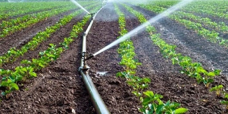 طرح متخصصان شاهرودی مصرف آب کشاورزی را ۵ برابر کاهش می‌دهد