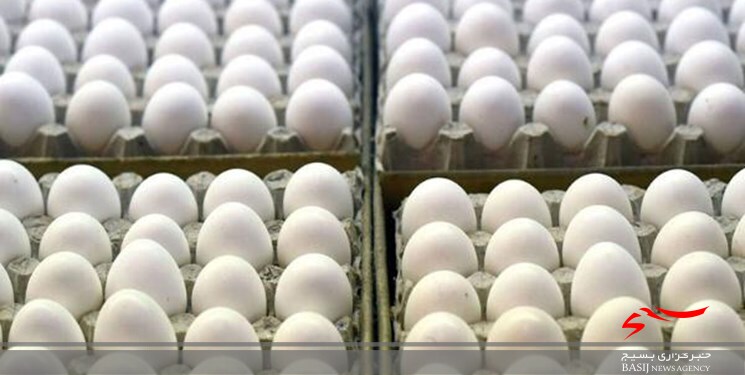 کشف ۳۵۰۰ کیلوگرم تخم مرغ فاقد مجوز در شاهرود