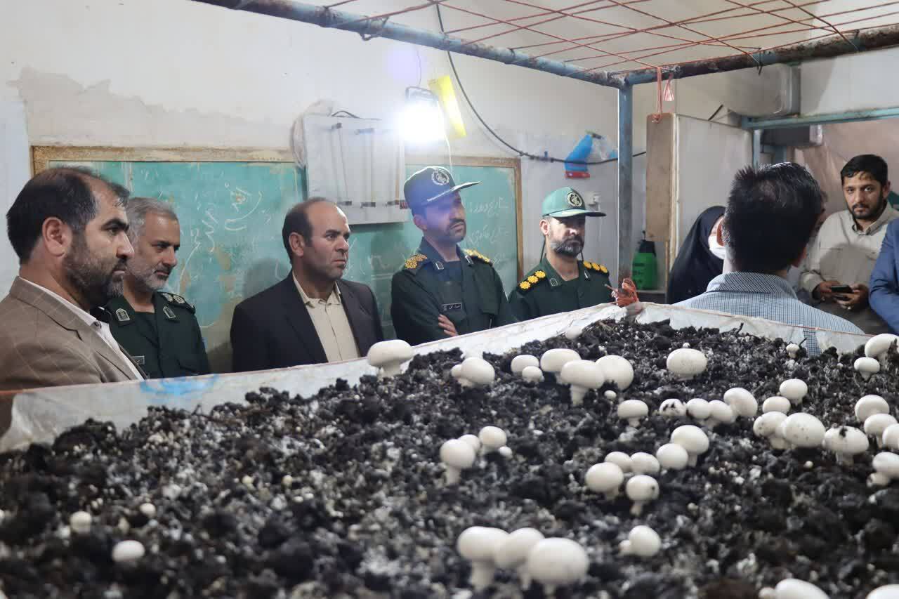 عزم جوان فرمهینی برای تحقق اقتصادمقاومتی/کشت قارچ در پارکینگ!