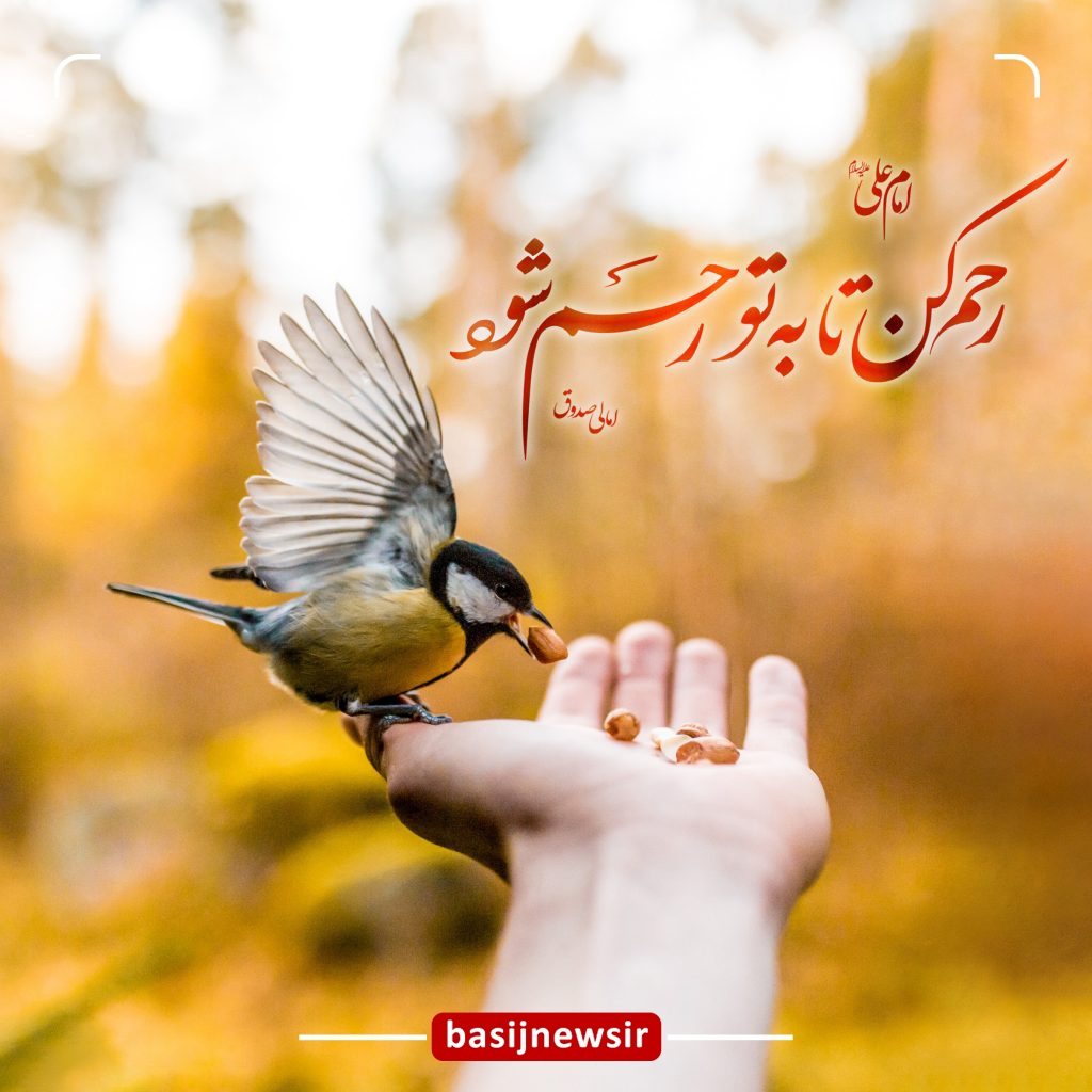 به یکدیگر رحم کنید