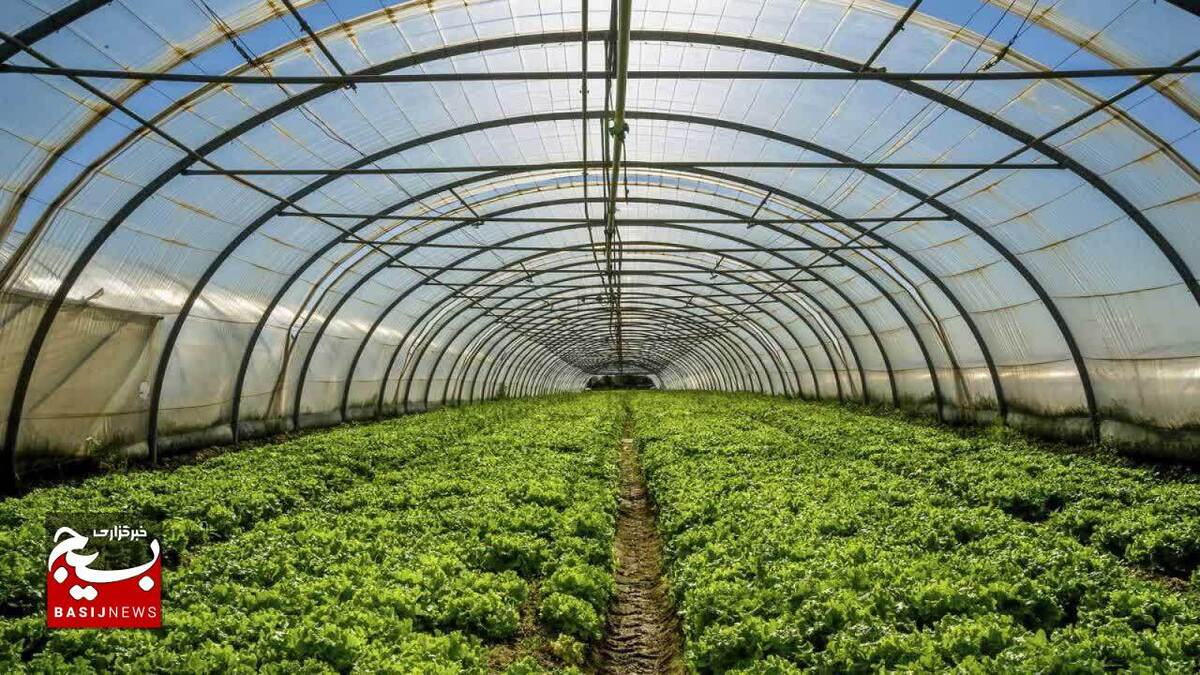 

افتتاح ۵ طرح کشاورزی در شهرستان آوج