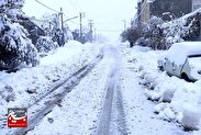 سرمای ۱۵ درجه زیر صفر و یخبندان در اردبیل