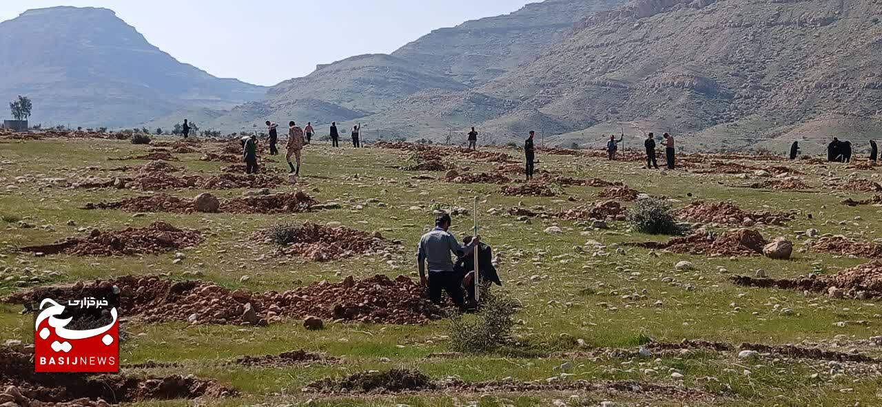 کاشت 2000 نهال در روستای دوپرنظری شهرستان بهمئی + (تصاویر)
