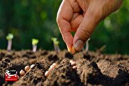 بسیج خمین، احیاگر منابع طبیعی